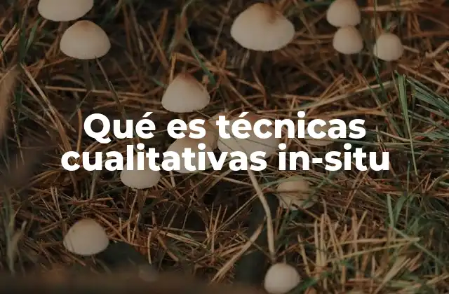 Qué es Técnicas Cualitativas In-situ