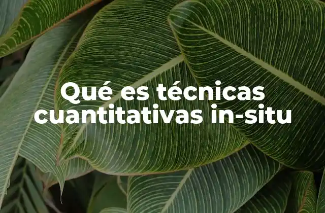Qué es Técnicas Cuantitativas In-situ