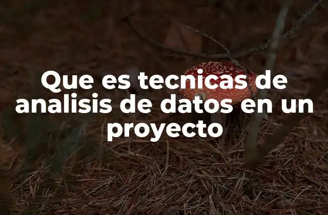 Que es Tecnicas de Analisis de Datos en un Proyecto
