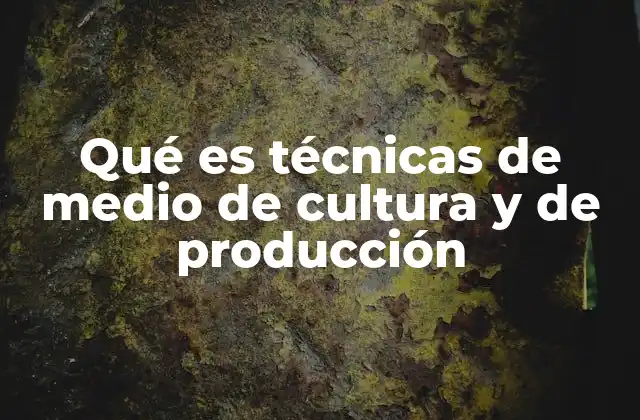 Qué es Técnicas de Medio de Cultura y de Producción