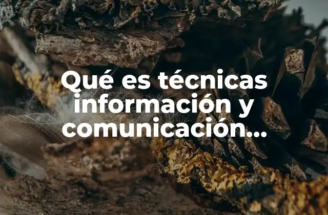 El papel de las técnicas de información y comunicación en la sociedad moderna