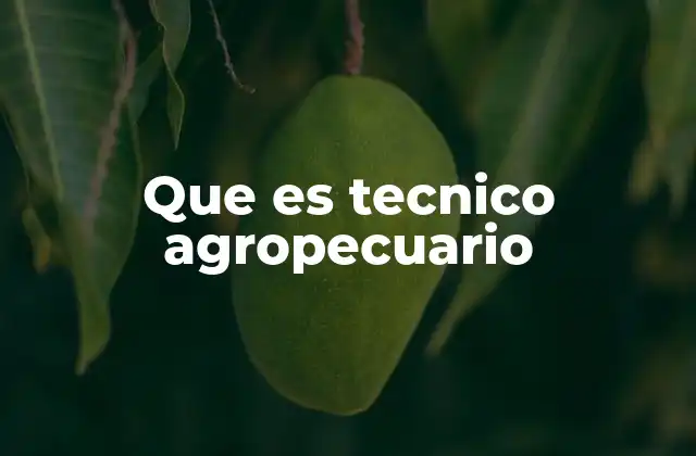 Que es Tecnico Agropecuario 2 La importancia del técnico agropecuario en la agricultura sostenible