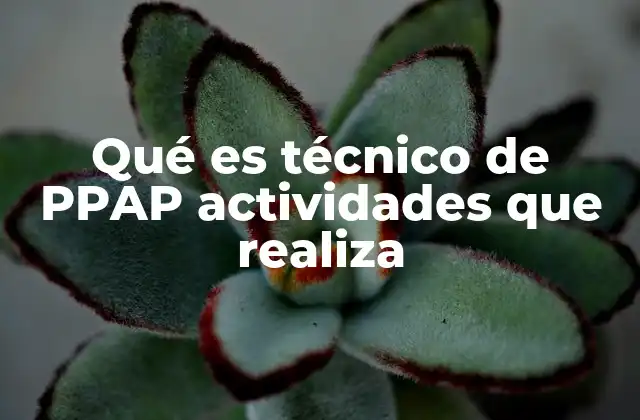Qué es Técnico de Ppap Actividades que Realiza