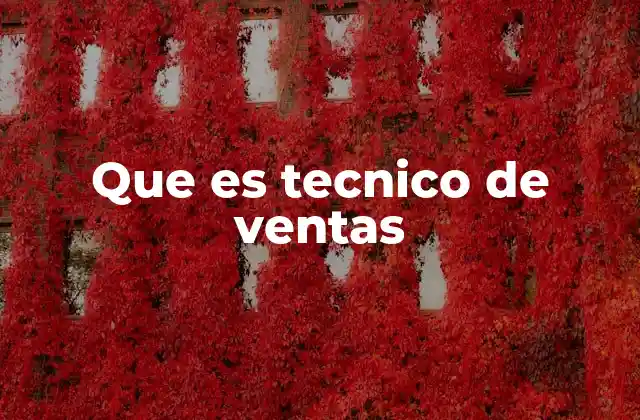 Que es Tecnico de Ventas