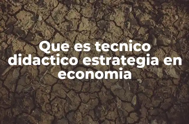 Que es Tecnico Didactico Estrategia en Economia
