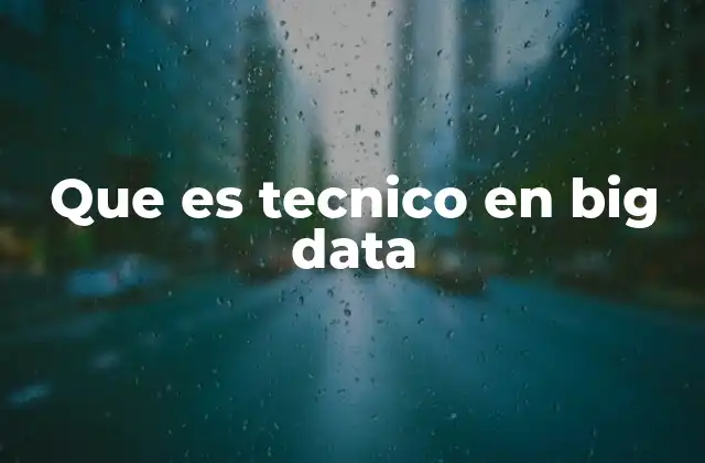 Que es Tecnico en Big Data