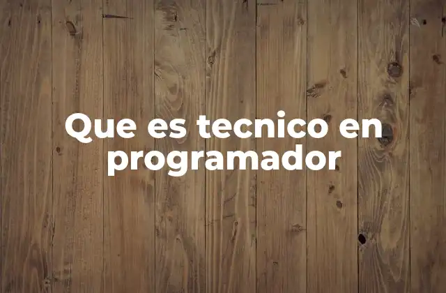 Que es Tecnico en Programador
