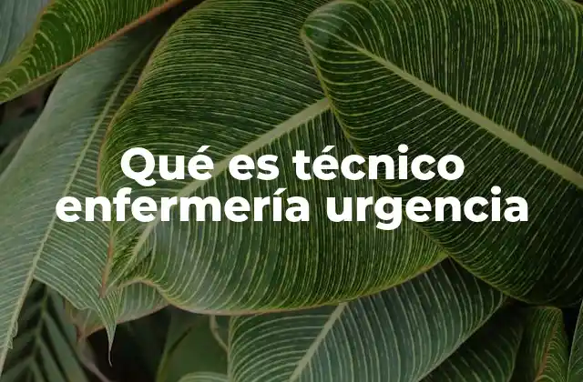El papel del técnico en enfermería en situaciones críticas