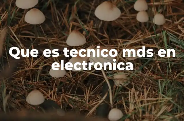 Que es Tecnico Mds en Electronica