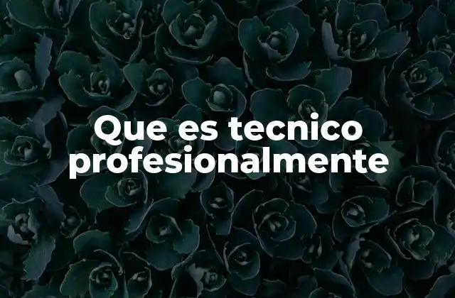Que es Tecnico Profesionalmente 2 La importancia de la formación técnica en el desarrollo económico