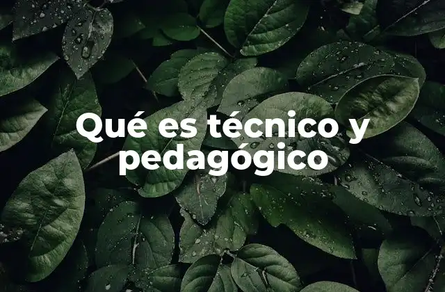 Qué es Técnico y Pedagógico