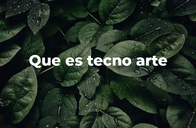Que es Tecno Arte