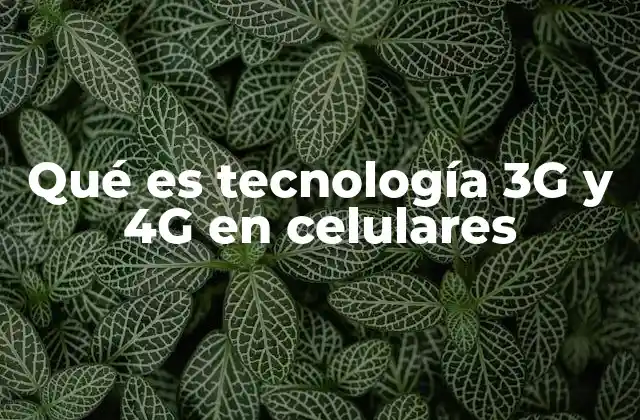 Qué es Tecnología 3g y 4g en Celulares