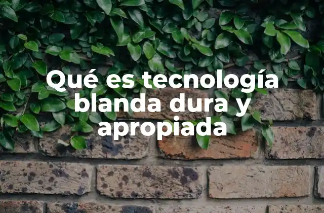 Qué es Tecnología Blanda Dura y Apropiada