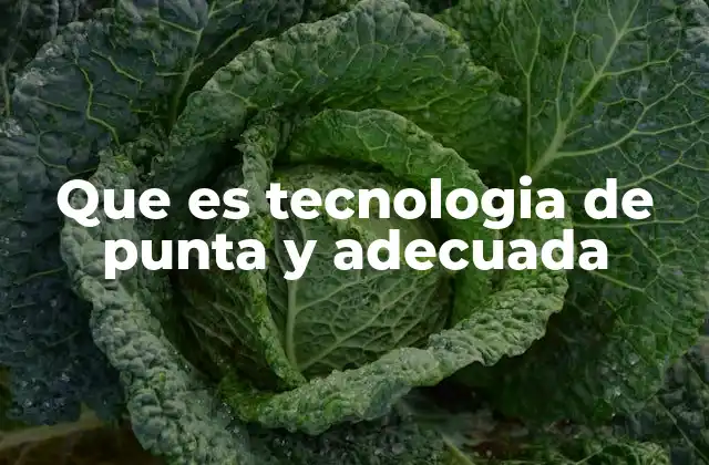 Que es Tecnologia de Punta y Adecuada