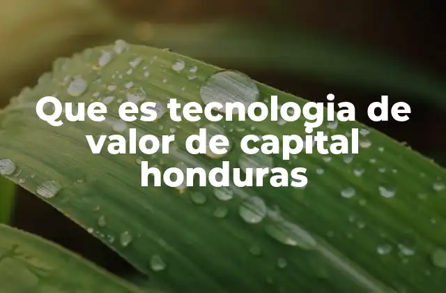 Que es Tecnologia de Valor de Capital Honduras