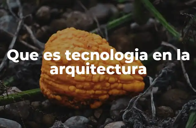 Que es Tecnologia en la Arquitectura