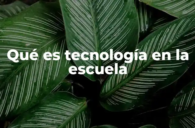 Qué es Tecnología en la Escuela