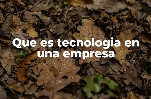 Que es Tecnologia en una Empresa