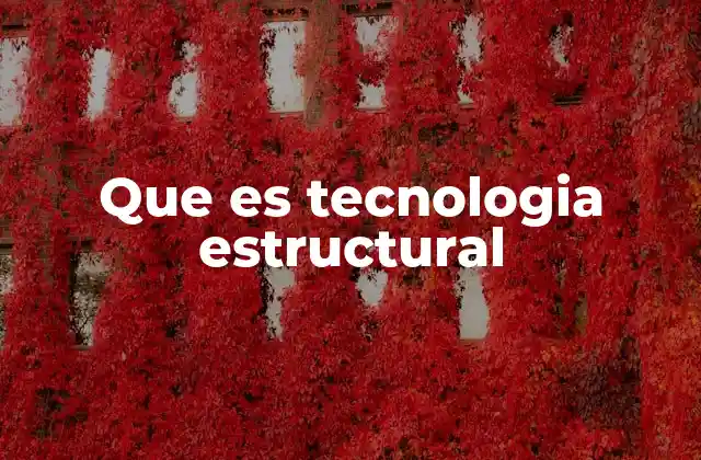 Que es Tecnologia Estructural