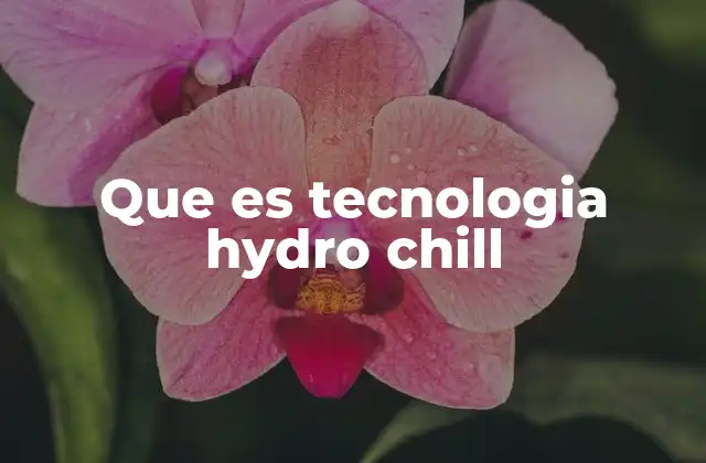 Que es Tecnologia Hydro Chill 2 Cómo funciona la tecnología Hydro Chill