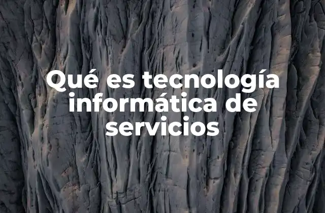 Qué es Tecnología Informática de Servicios