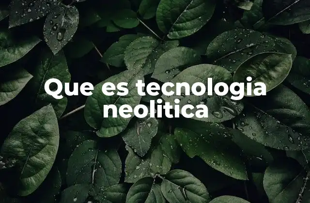 Que es Tecnologia Neolitica