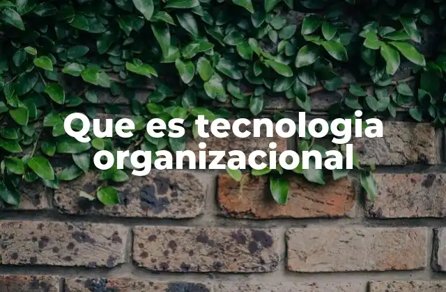 Que es Tecnologia Organizacional