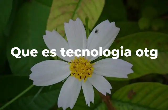 Que es Tecnologia Otg 2 Cómo la tecnología OTG transforma la interacción con los dispositivos móviles
