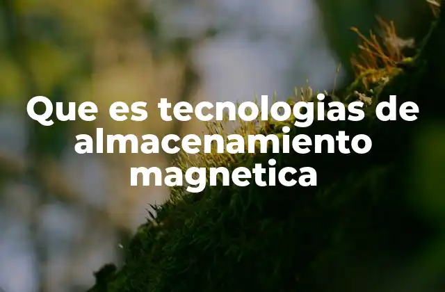 Que es Tecnologias de Almacenamiento Magnetica 2 El papel de las superficies magnéticas en el almacenamiento