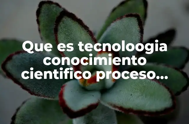 Que es Tecnoloogia Conocimiento Cientifico Proceso Conocimineto Tecnico Insumos