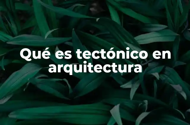 Qué es Tectónico en Arquitectura