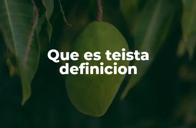 Que es Teista Definicion