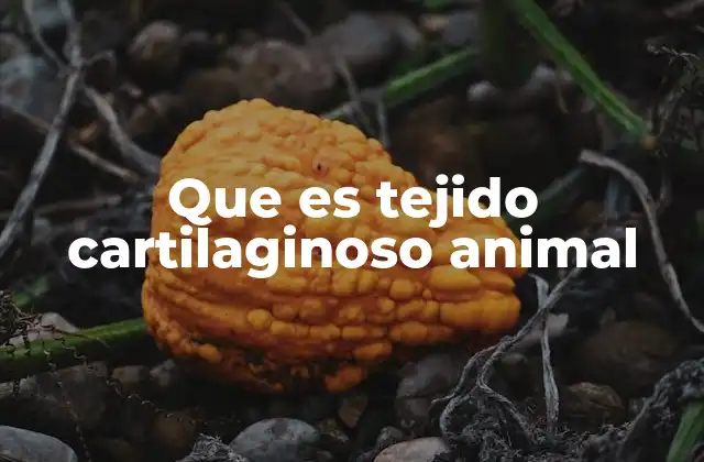Que es Tejido Cartilaginoso Animal