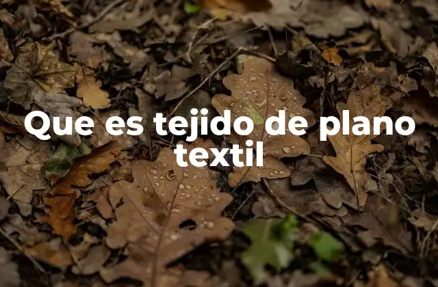 Que es Tejido de Plano Textil