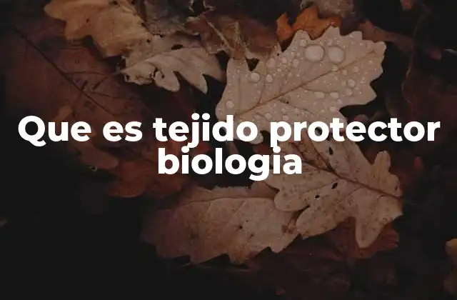 Que es Tejido Protector Biologia