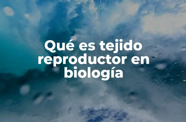 La importancia del tejido reproductor en la biología humana