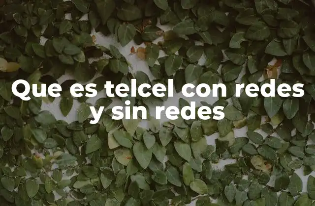 Que es Telcel con Redes y sin Redes