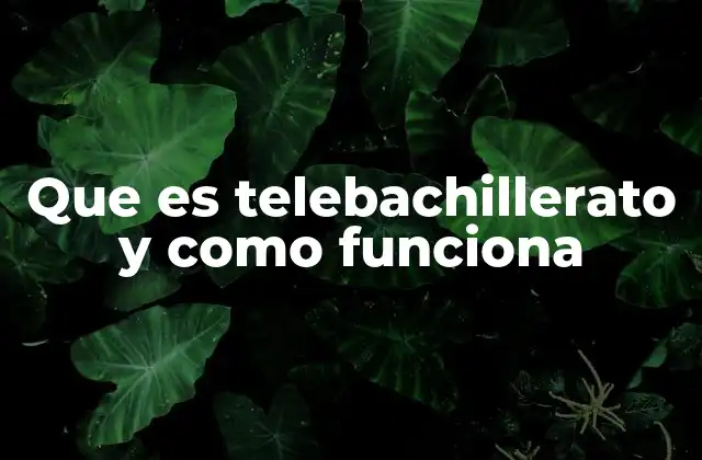 Que es Telebachillerato y como Funciona