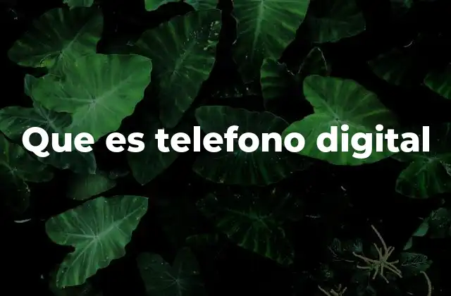 Que es Telefono Digital