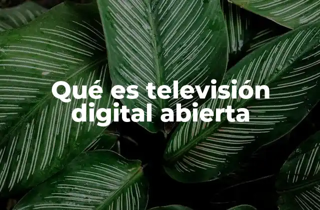 Qué es Televisión Digital Abierta