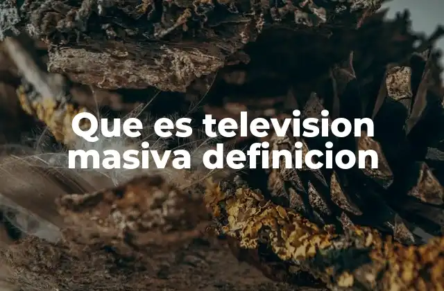 Que es Television Masiva Definicion