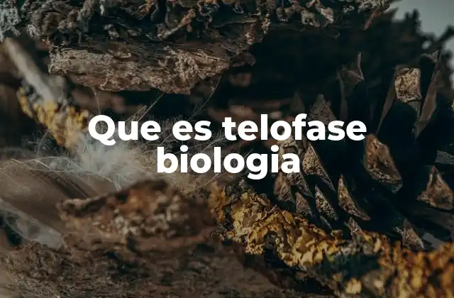 Que es Telofase Biologia