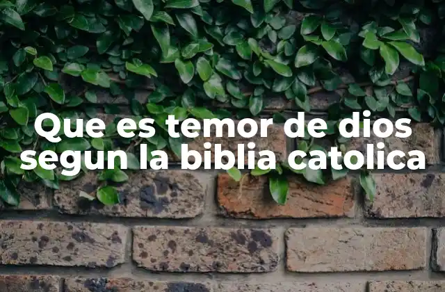 Que es Temor de Dios Segun la Biblia Catolica 2 La actitud del creyente ante Dios y la guía bíblica