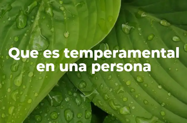 Que es Temperamental en una Persona