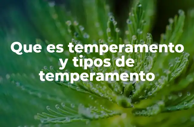 Que es Temperamento y Tipos de Temperamento 2 Cómo el temperamento afecta la personalidad