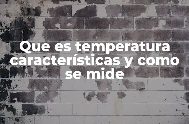 Que es Temperatura Características y como Se Mide 2 La importancia de medir la temperatura en la ciencia y la vida cotidiana