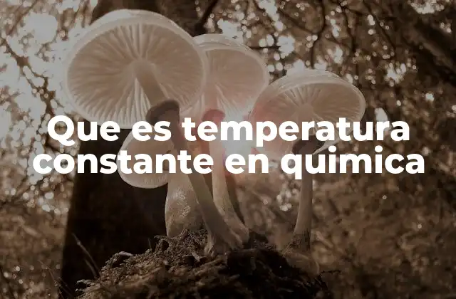 Que es Temperatura Constante en Quimica 2 El papel de la temperatura en los equilibrios químicos