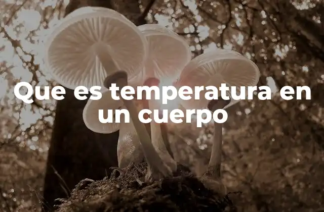 Que es Temperatura en un Cuerpo