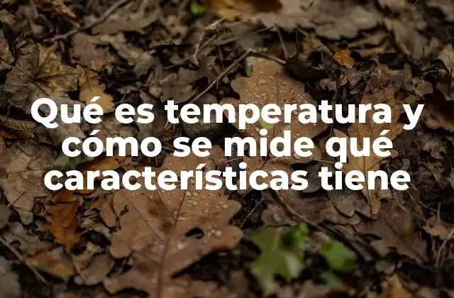 Qué es Temperatura y Cómo Se Mide Qué Características Tiene